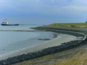 kust